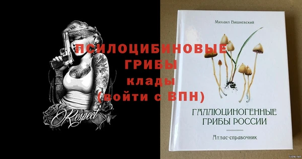 амф Баксан