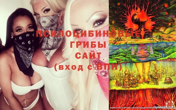 амф Баксан